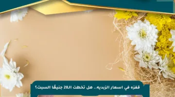 قفزة في أسعار الزبدية.. هل تخطت الـ28 جنيهًا السبت؟
